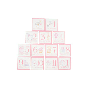 Month Markers, Pink