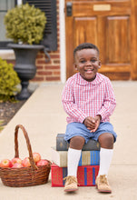 Peter Pan Shirt Hartford Plaid