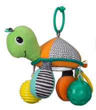 Turtle Mirror Pal-Green