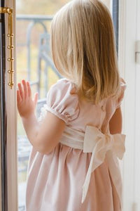 Powder Pink Velvet Dress