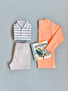 Long Sleeve Carter Crewneck Seashore Sherbet with Buckhead Blue Stork