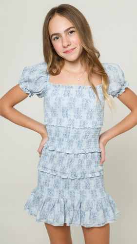 Milou Dress Blue Mini Roses