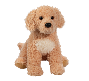 Noodle the Golden Doodle