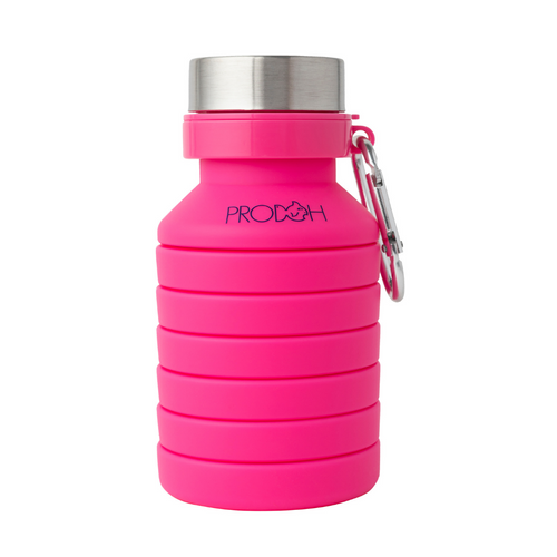 Water Bottle in Sangria