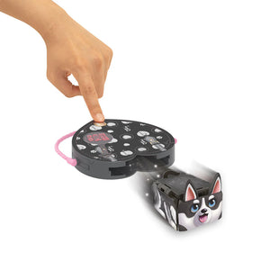 Pets 2 Love