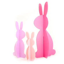 Kailo Bunny Acryl Pink