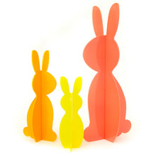 Kailo Bunny Acryl Coral