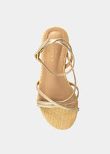 DANA MINI Gold