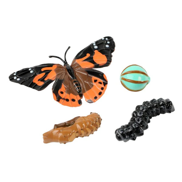 BUTTERFLY LIFE CYCLE STAGES