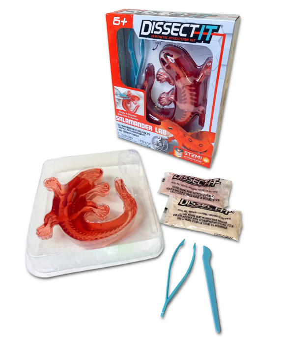 Dissect-It® Salamander Lab