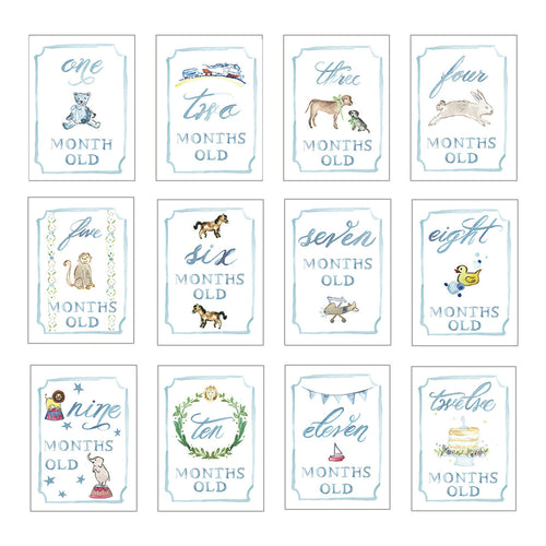 Blue Month by Month Baby Cards