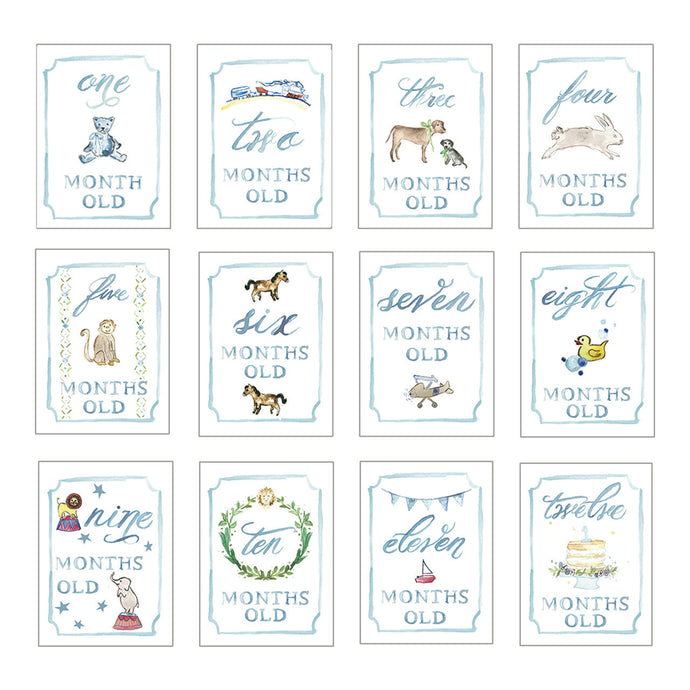 Blue Month by Month Baby Cards