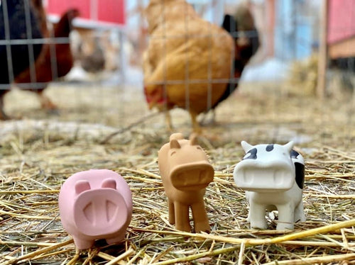 BARNYARD BATH PALS SET/3