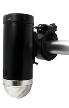 Cruzin Brightz Red/Green/Blue