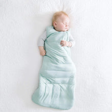 Sleep Bag in Sage 1.0