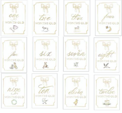 Platinum Month by Month Baby Cards