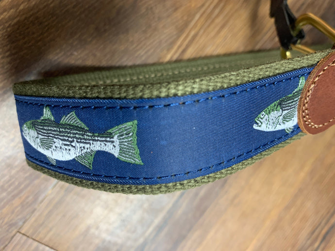 Child’s Belt, Striper Fish on Olive
